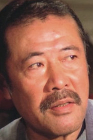 Wang Han